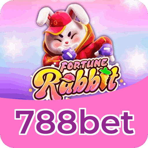 Métodos de pagamento aceitos na 788bet